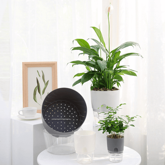 Anoma™ Self Watering Pot